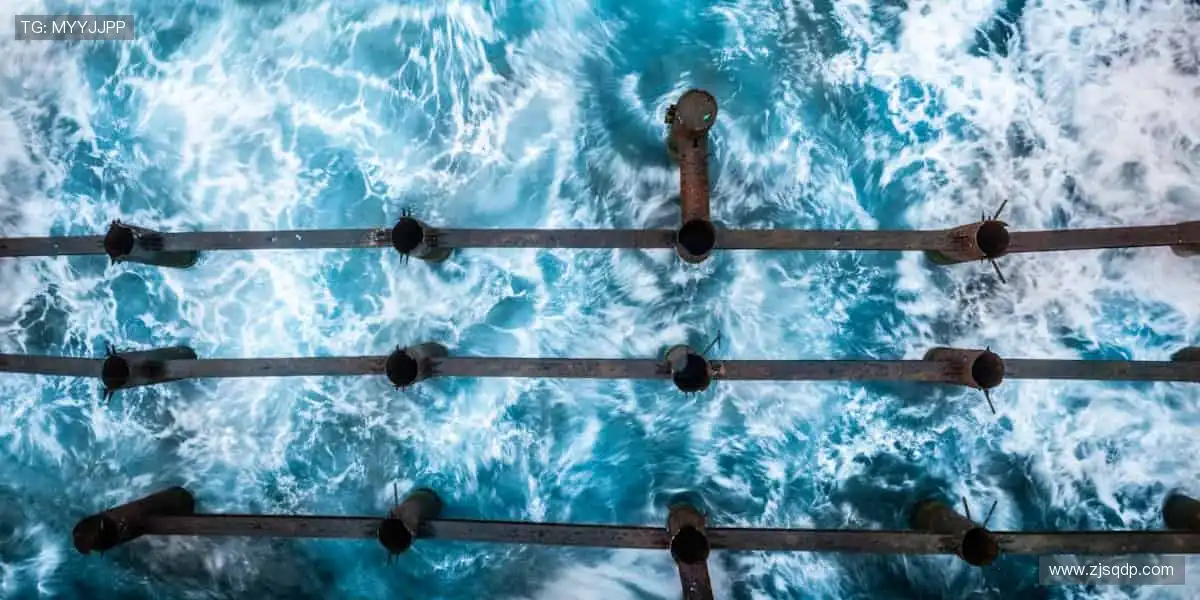 👕 把热爱穿在身上，做最酷的球迷！